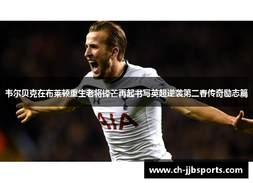 韦尔贝克在布莱顿重生老将锋芒再起书写英超逆袭第二春传奇励志篇