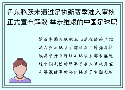丹东腾跃未通过足协新赛季准入审核正式宣布解散 举步维艰的中国足球职业化困境再现